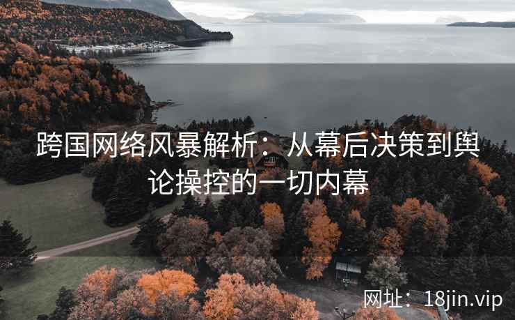 跨国网络风暴解析：从幕后决策到舆论操控的一切内幕