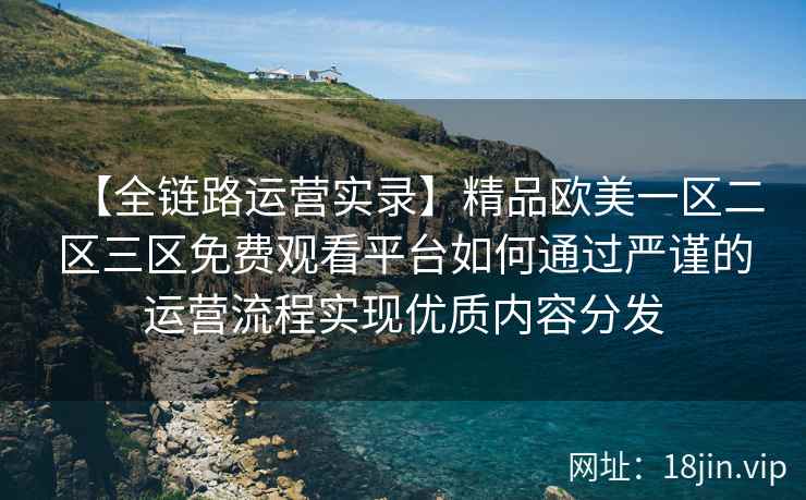 【全链路运营实录】精品欧美一区二区三区免费观看平台如何通过严谨的运营流程实现优质内容分发