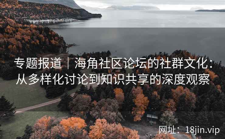 专题报道｜海角社区论坛的社群文化：从多样化讨论到知识共享的深度观察