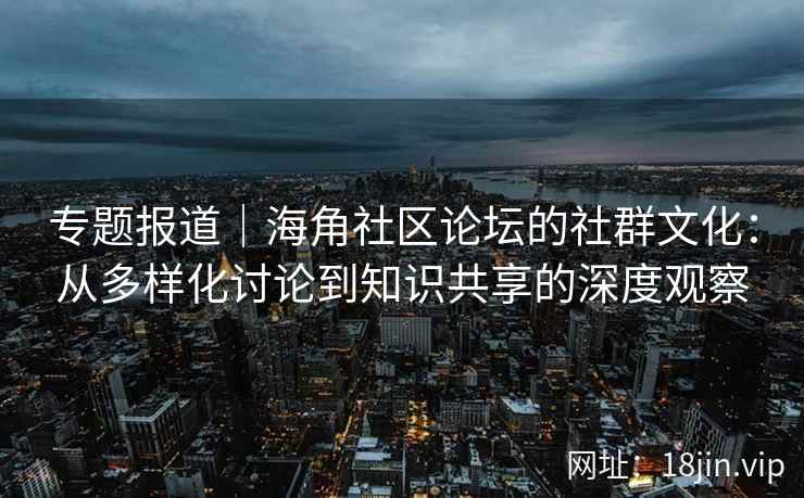 专题报道｜海角社区论坛的社群文化：从多样化讨论到知识共享的深度观察